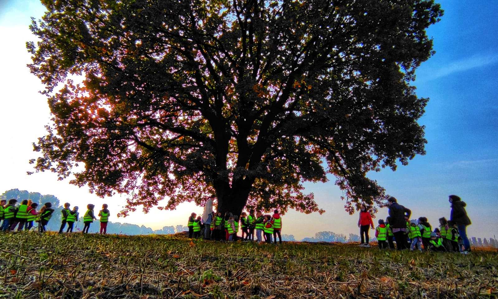 carletto-carengione Bambini in Natura - Scuola Materna Peschiera Borromeo