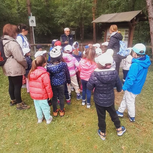 Le gite dei grandi
Riserva Naturale della Valle del Freddo (Bg) tra orchidee e sassifraghe, larici e ginepri
Un ringraziamebto speciale a Flavio Salvini, guida preziosa di questa giornata.
#valledelfreddo 
#scuolainfanzia 
#endine 
#peschieraborromeo
