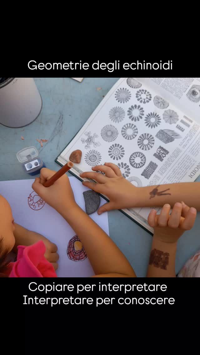 Pomeriggi in cortile
#bambini 
#peschieraborromeo 
#scuoladellinfanzia