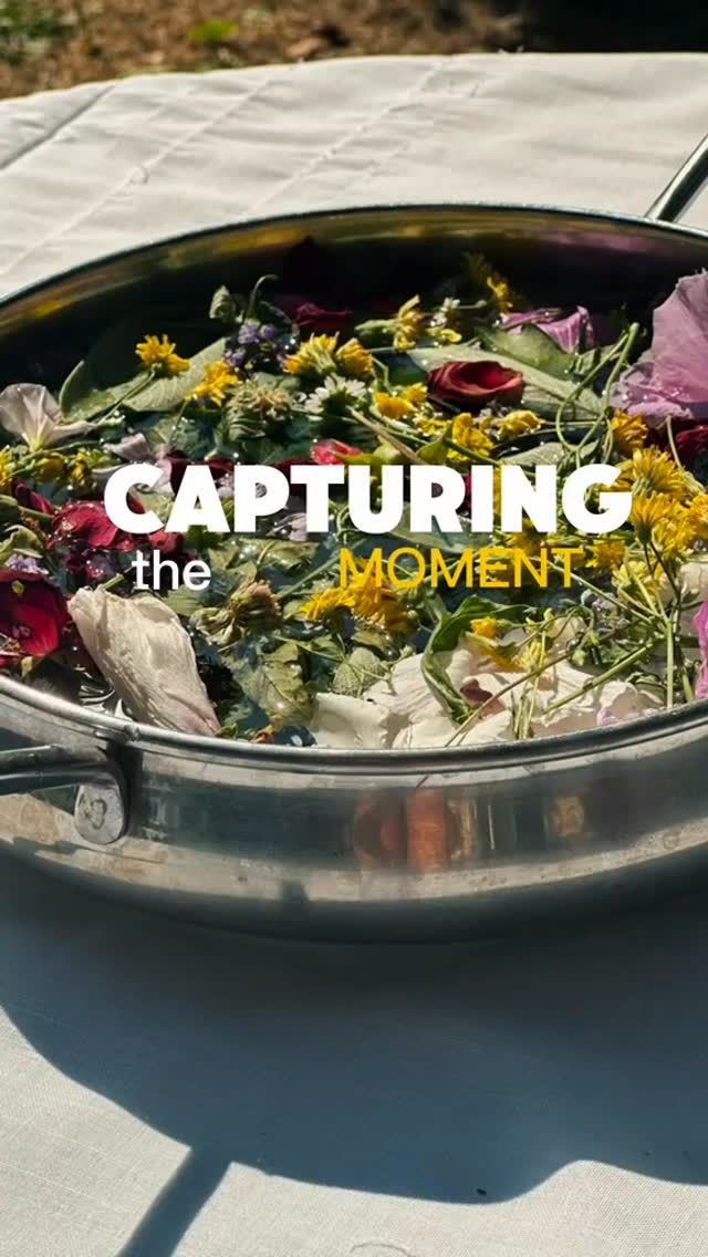 E poi arriva il giorno in cui preparare l'acqua di San Giovanni, con tutte le meraviglie del giardino.
A cui si aggiungono le meraviglie di queste risate, i piedi nudi sull'erba, le gocce che si fanno gioco.
Una scuola che si fa esperienza di meraviglia costante, costruttrice di radicamenti che fronteggiano anche il caldo intenso.
#bambini 
#peschieraborromeo 
#scuoladellinfanzia 
#educare 
#meraviglia