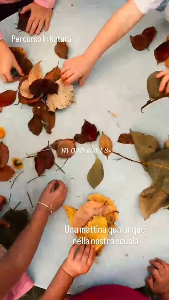 Nelle giornate si alternano percorsi tra sezione, giardino e palestra divisi per classi o per gruppi misti per età in modo da permettere a tutti i bambini di fare le medesime esperienza.
Questa mattina una sezione è partita dal giardino con il nostro percorso In Natura. Non vi sembrano meravigliose le loro creazioni?
🤩
#scuoladellinfanzia #peschieraborromeo #bambini